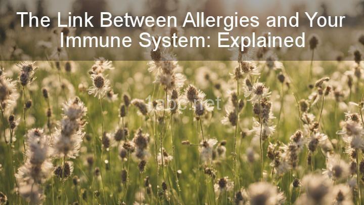 The Link Between Allergies and Your Immune System: Explained