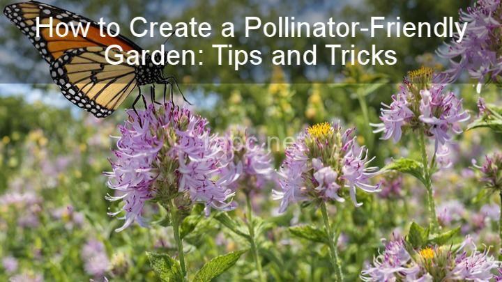 How to Create a Pollinator-Friendly Garden: Tips and Tricks