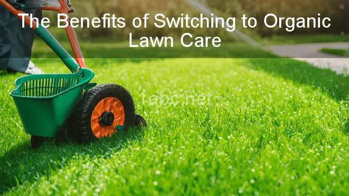 The Benefits of Switching to Organic Lawn Care