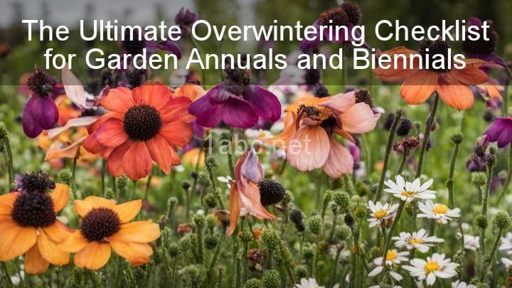 The Ultimate Overwintering Checklist for Garden Annuals and Biennials