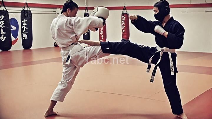 Beyond the Physical: Developing Mental Resilience in Martial Arts Sparring