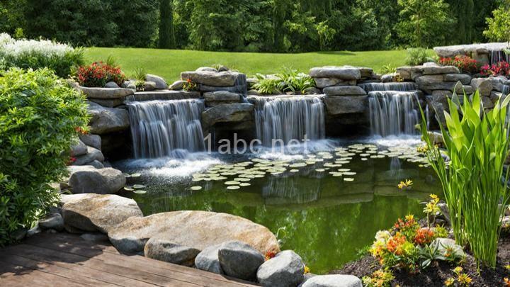 Pond Design Inspiration: Enhance Your Landscape with Water Features