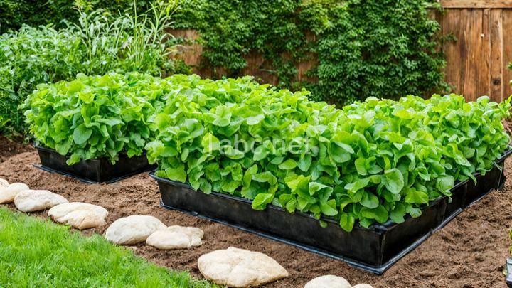 The Benefits of Composting for Organic Gardening