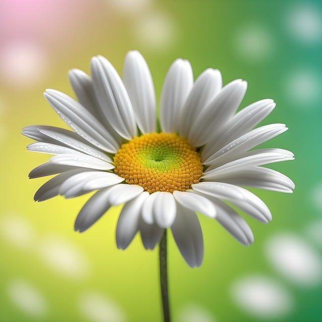 Exploring Niche Sporting Goods: Unique Equipment for Specific Sports